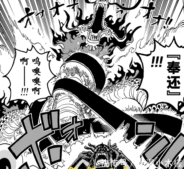 勘十郎|海贼王:官方再度公布三颗恶魔果实名称,雷藏果然也是能力者