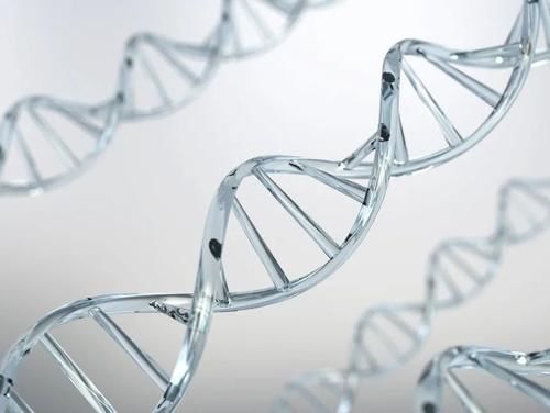 小可爱们|胶原蛋白VS玻尿酸,拿什么拯救这张不想衰老的脸