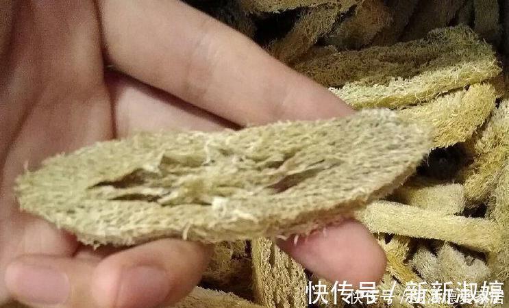 花盆里加点这个，不烂根不黄叶，轻松养满盆