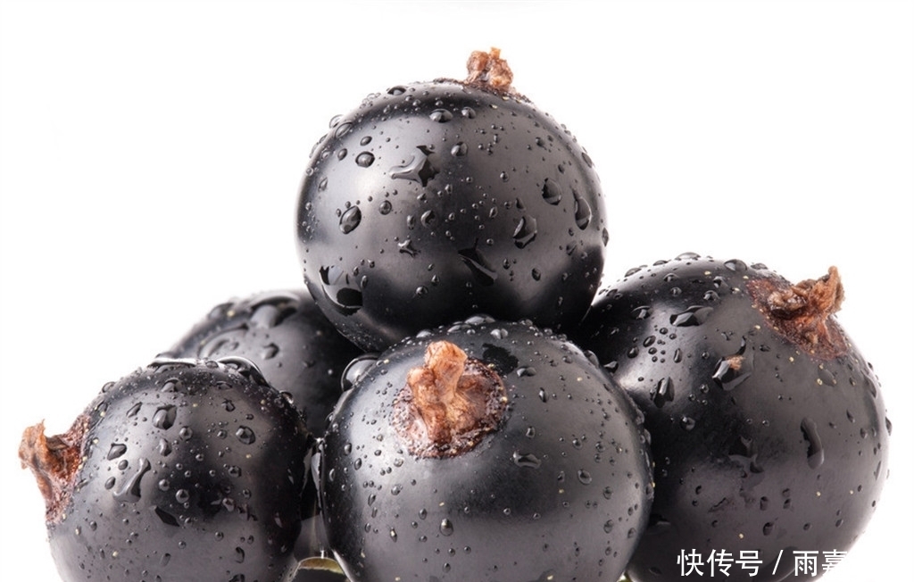 不常见的5种“黑色”水果,吃过3种以上的,应该是个美食主义者