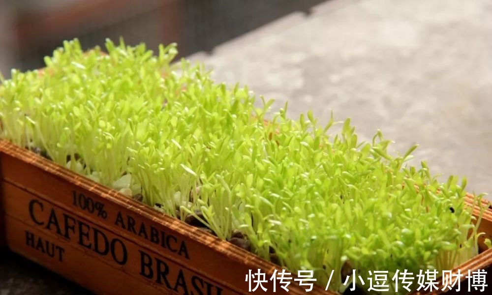 祁门|曾国藩:有教养的人,都有这4个特征