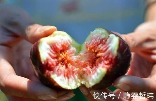 经前综合征|女性害怕早衰,多吃以下食物,排毒燃脂,改善便秘,有益健康!