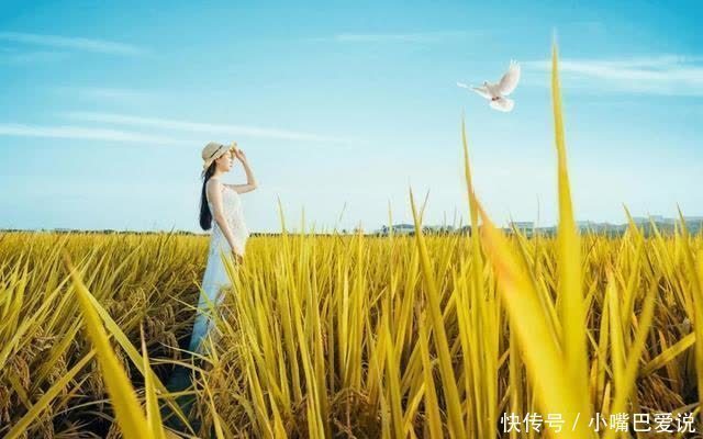 物质#一个人最好的状态:物质极简,精神丰盈,生活随意