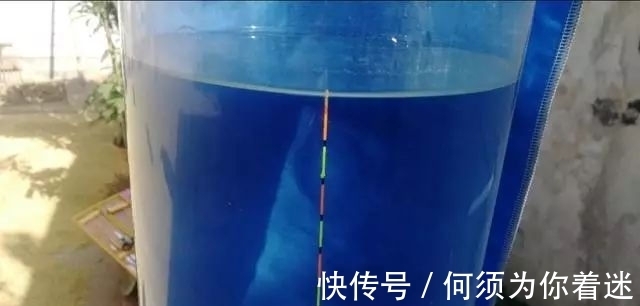 鱼儿|冬季鱼口轻,浮漂调钓很重要,这两点不考虑有口也没信号