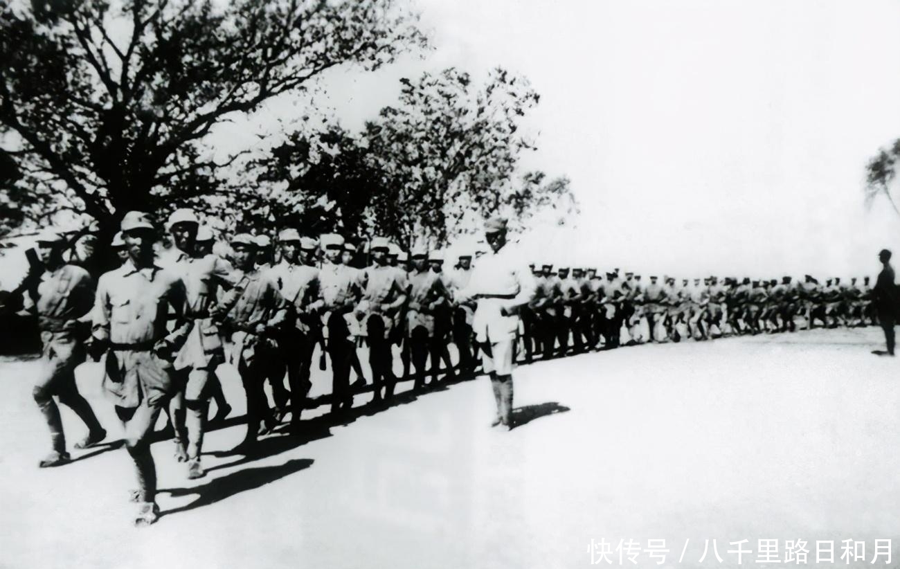 指挥|粟裕成名之战，发挥高超指挥技术，项英担忧：要把老本赔光