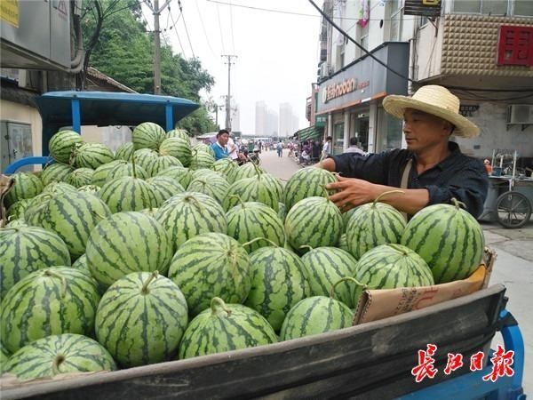 学子|①武汉长江灯光秀“上新”②万名武大学子毕业③沙湖荷花盛放｜今日大武汉