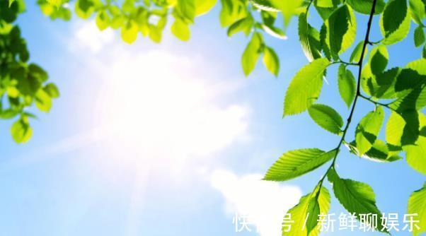 维生素c|免疫力最钟爱5种营养素！饮食多摄入，免疫力一天强过一天