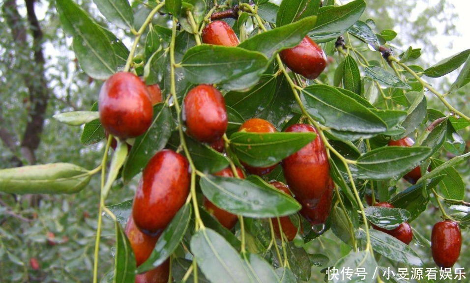 蓟州|有一种童年回忆,叫做去蓟州赶集!你多久没赶过大集了?