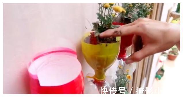 花草|别人不要的饮料瓶，被他改成五颜六色花盆，过程引近450万人围观