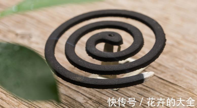 夏季|夏季养花，生了小腻虫该怎么办？学会这3招，“去根”不难