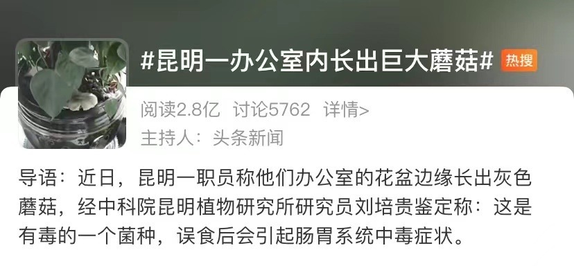 野生菌|办公室长野生菌,2.8亿网友围观!专家:有毒!别吃!