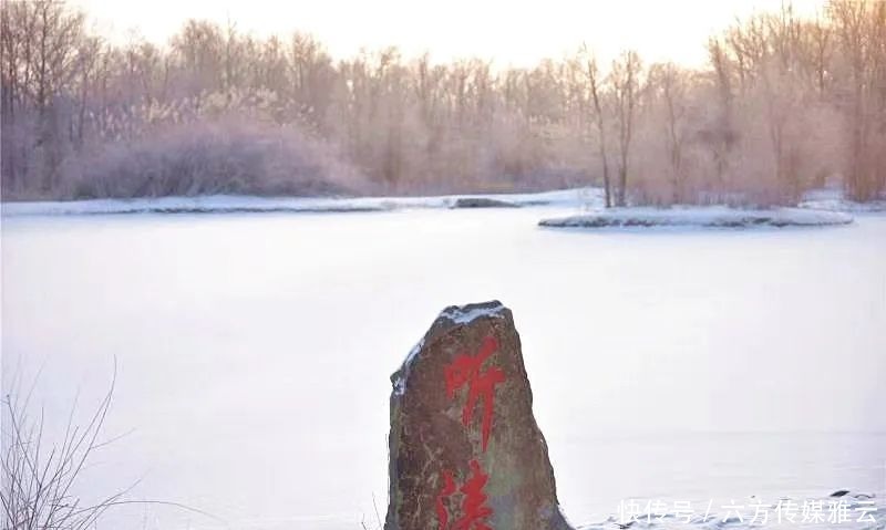 胡杨林|金塔下雪了，我们一起去金塔沙漠胡杨林踏雪可好