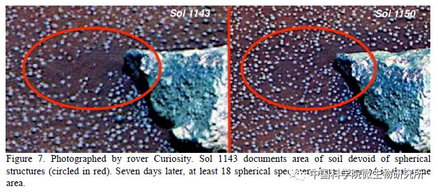 非生物 火星上存在真菌吗？
