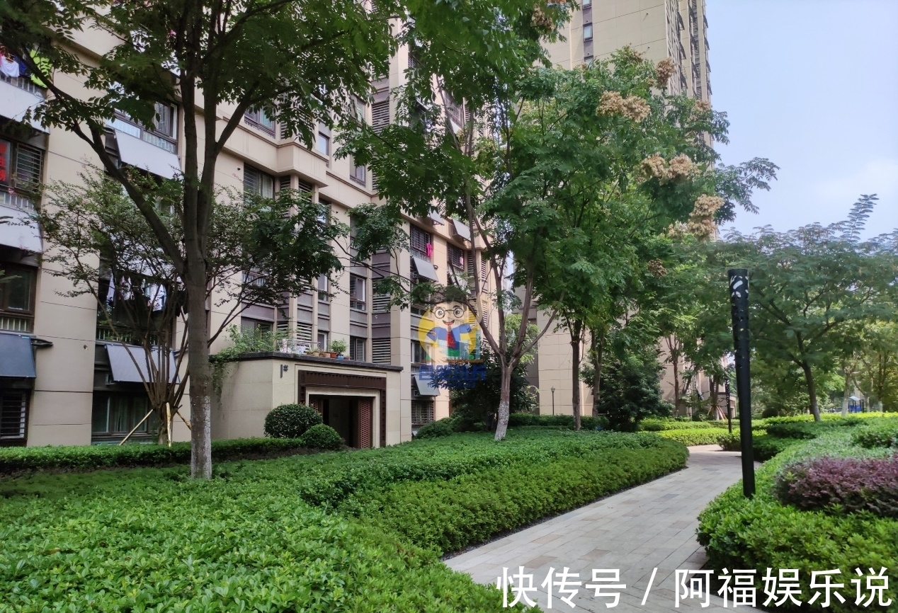 万科|这里是合肥北部出名的富人小区，实探万科森林公园品质究竟如何？