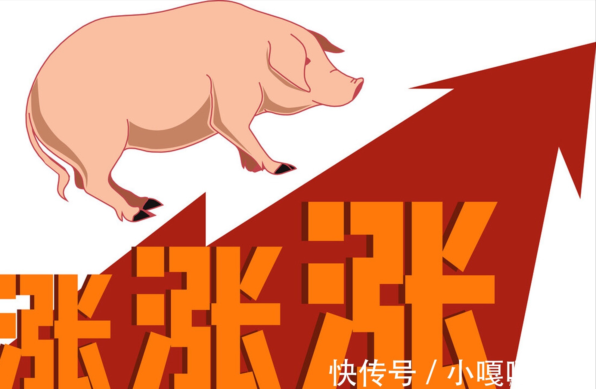 答案|明日立秋!猪价“4连绿”,贴秋膘能否支撑猪价上涨?答案来了!