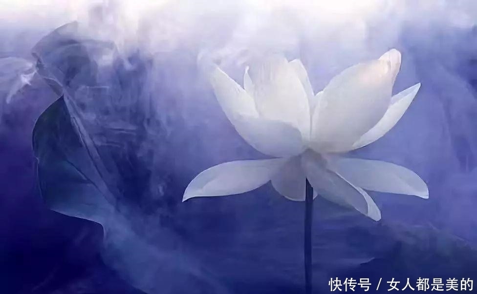 李渤|忍辱，是胜人的一种力量，万法常空灭，无生因忍全