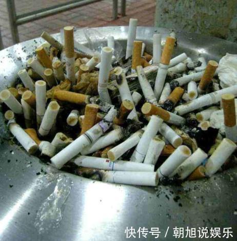 蚊香灰、烟灰“别倒掉”，撒在花盆里，驱虫子、防烂根，简单实用