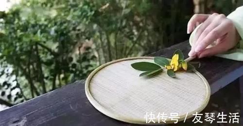 黄连|皮肤瘙痒,医圣张仲景开一奇方,仅仅一味药