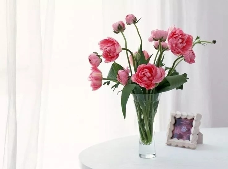 不老丹|世间上最好的养生,就两个字!