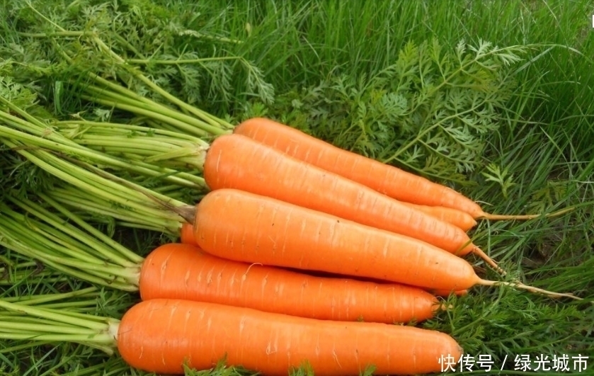 胡萝卜和它一起炒,皮肤水嫩白皙,视力好了,每天一碗失眠也好了