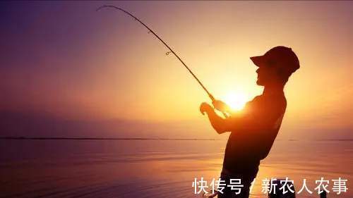 漩门湾|45斤的米级“鲈鱼王”,浙江男子海钓收获大鱼,老钓鱼人也没见过
