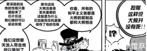 世界政府|海贼王:乔艾莉·波妮竟然是暴君熊的母亲,信息量太大