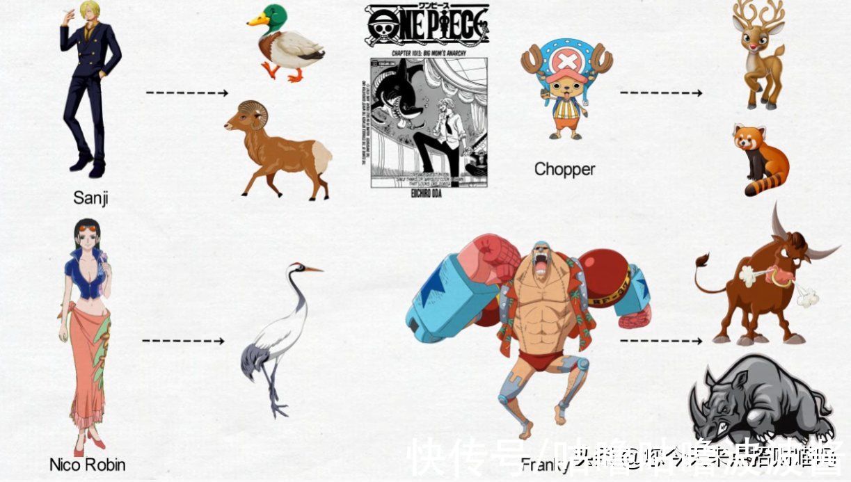 外观|海贼王：角色外观属性符合哪些动物特征，竟然有人还是双修（上）
