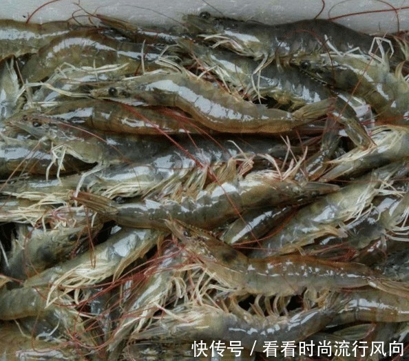 买虾时,遇到这3种,白送也别买,没营养!为了健康,不能贪便宜