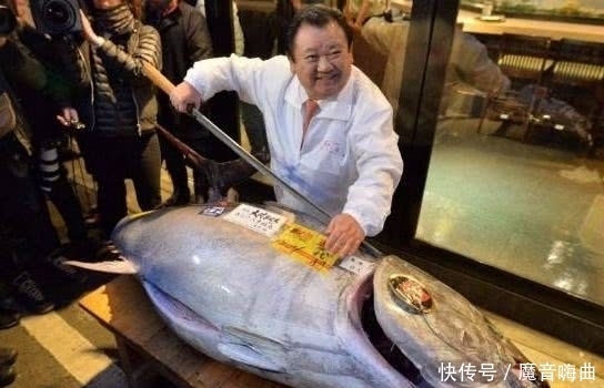 世界上最昂贵的五种食用鱼,一条几百万,叫人怎么下得了口!