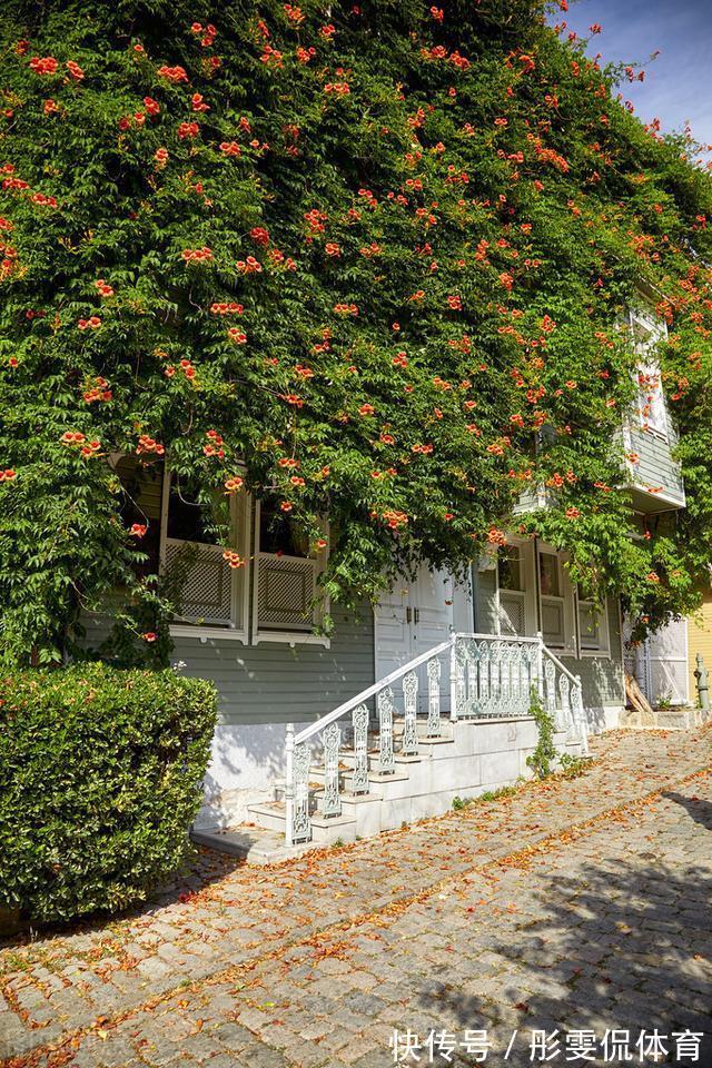 家里有小院子，三种花草不要种，容易泛滥招蛇虫，很多人都害怕