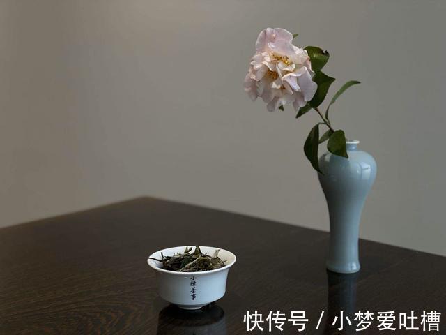 春白茶|冬天煮老白茶暖身，夏天喝新茶解暑，那秋天该如何喝白茶润燥