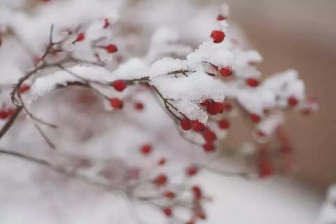  体质|明日“大雪”节气！寒冷天气如何改善体质？宝宝经常咳嗽怎么办？