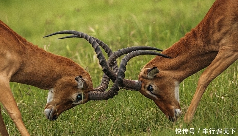 “地球最美疤痕”东非大裂谷沿线巡礼