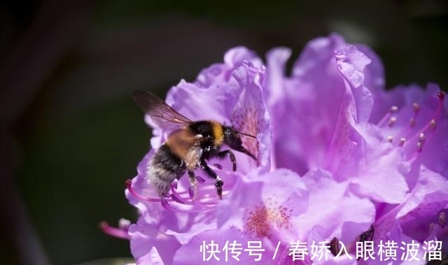 摩羯|7月，红鸾星动，真情降临，用心去把握，4大星座终将牵手良缘