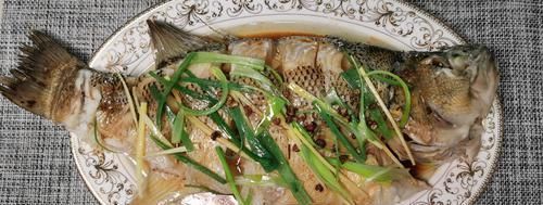  清蒸鱼，不要上来就放盐，教您小妙招，鲜嫩多汁，不柴也不腥