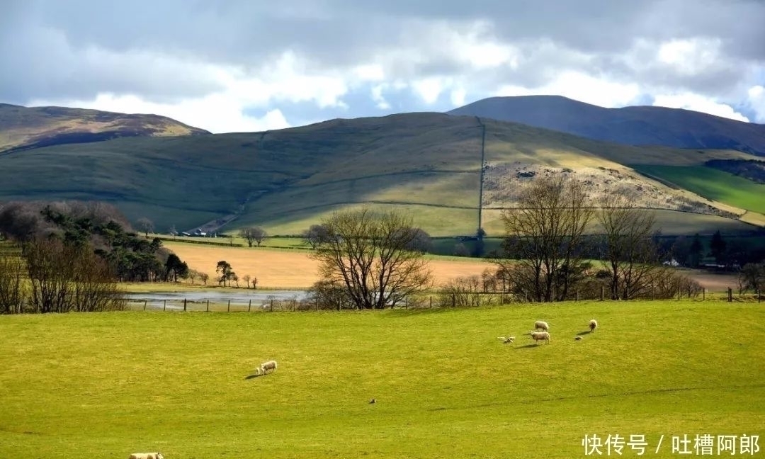 陶渊明集#陶渊明的一首诗,诗中无酒句句让人醉,写出了人最舒服的状态