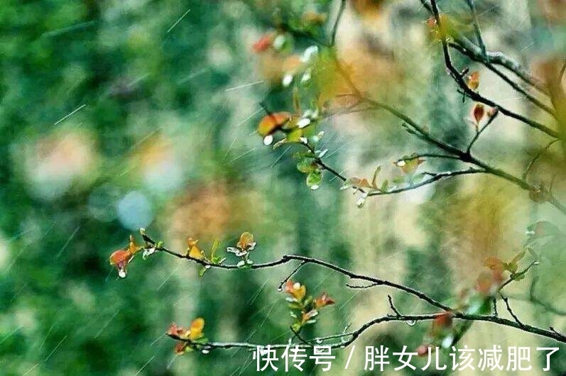 杜甫#山青花欲燃,这个春天,醉倒在唯美古诗词里