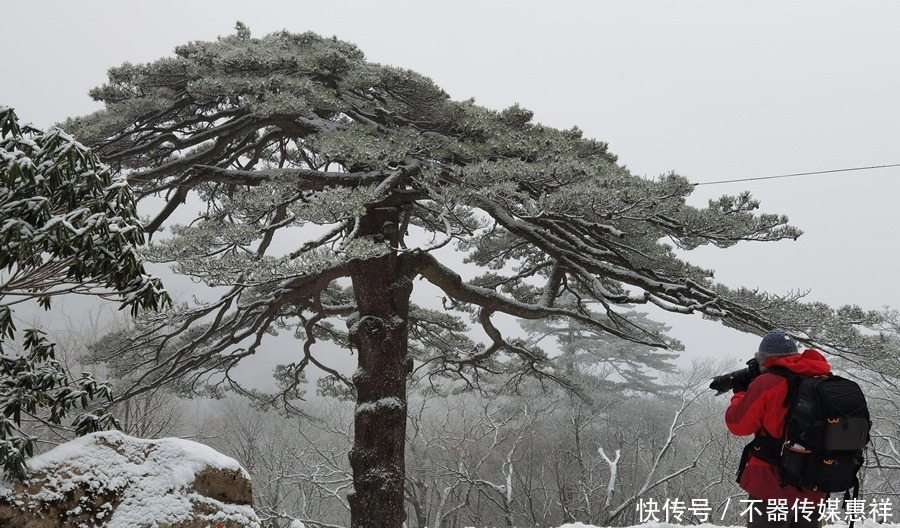 银装素裹！雪后黄山宛如童话世界