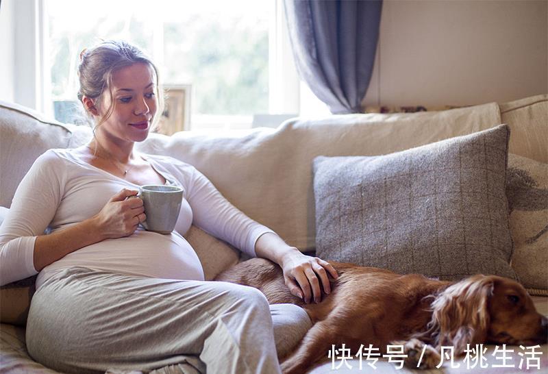 孩子|妻子怀孕做超以为是双胞胎,孩子出生后,家人乱成一团