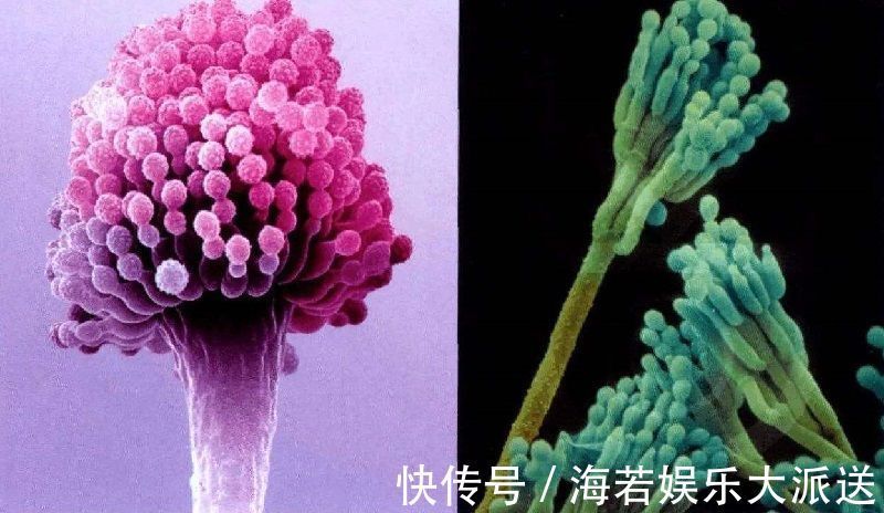 馒头|7岁孩子患“肝癌”,只因为奶奶的一个坏习惯,很多老人都喜欢做