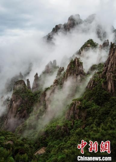 遗产|雨后江西三清山现壮美云海景观 云缠雾绕充满仙韵