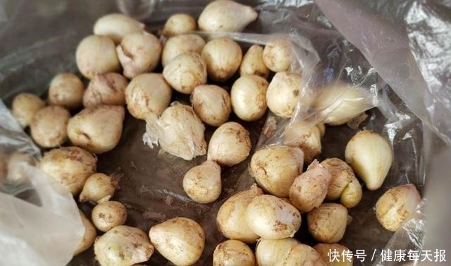 入秋后,多喝此汤,汤汁鲜美又营养,比骨头汤香,比蔬菜汤鲜