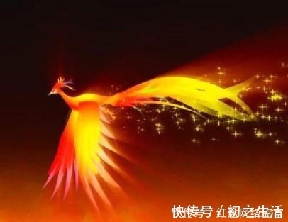 小学绀珠#古籍中发现四千年前曾有人以凤凰为食,此后世间再无凤族的记载