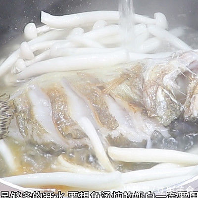 桂鱼|奶白桂鱼汤汤如牛奶白鱼肉刺少肉质鲜美
