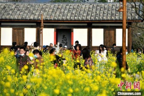 暖心|美！福州古厝油菜花竞相开放