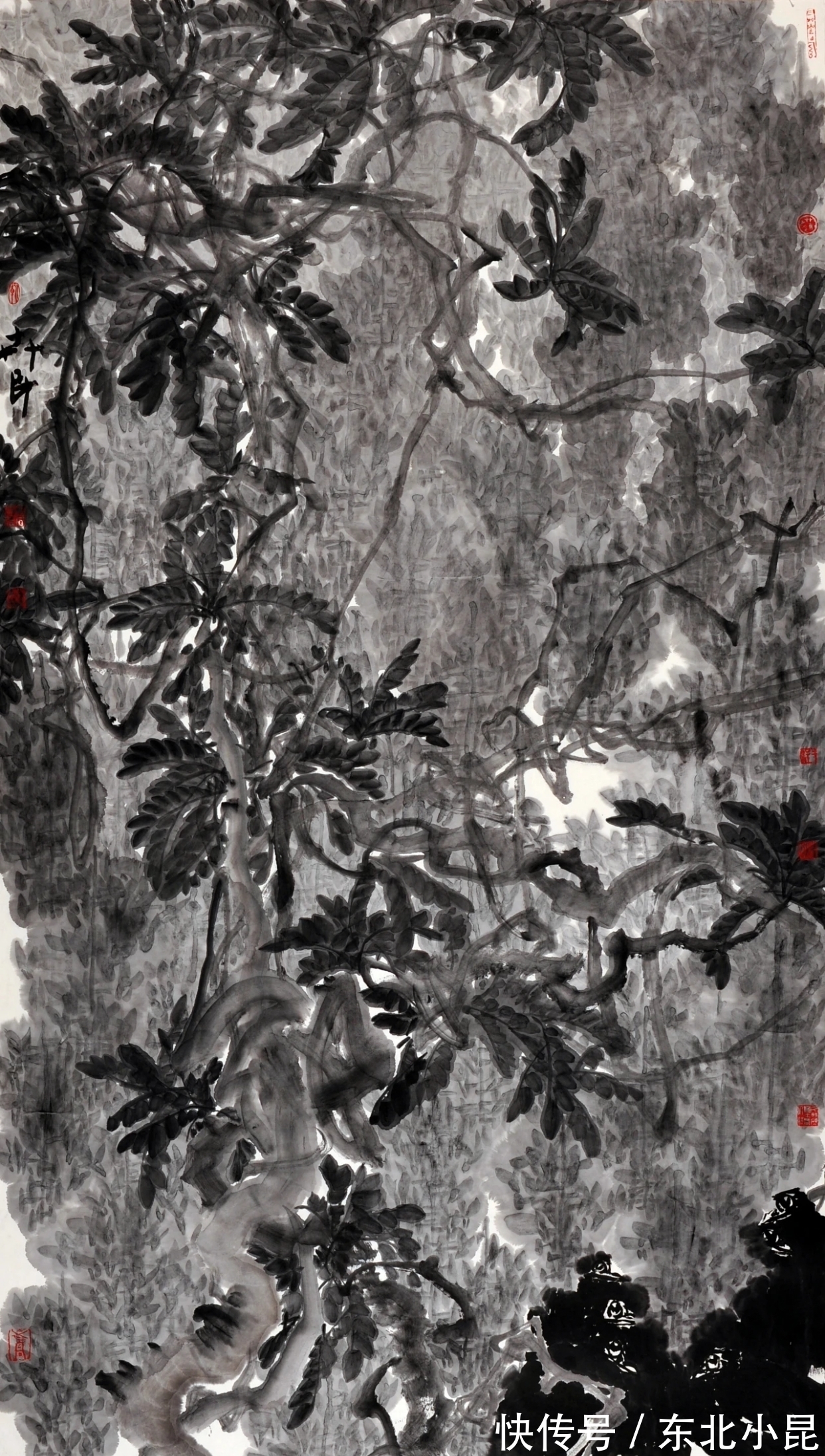 大写意@高卉民｜北方大写意花鸟画领军人