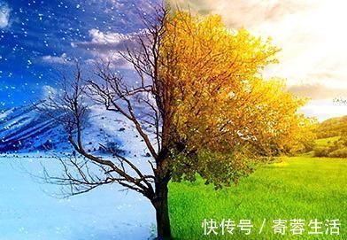 血液粘稠度|血液粘稠的人,身体会有5种表现,若没有,说明血管还算通畅