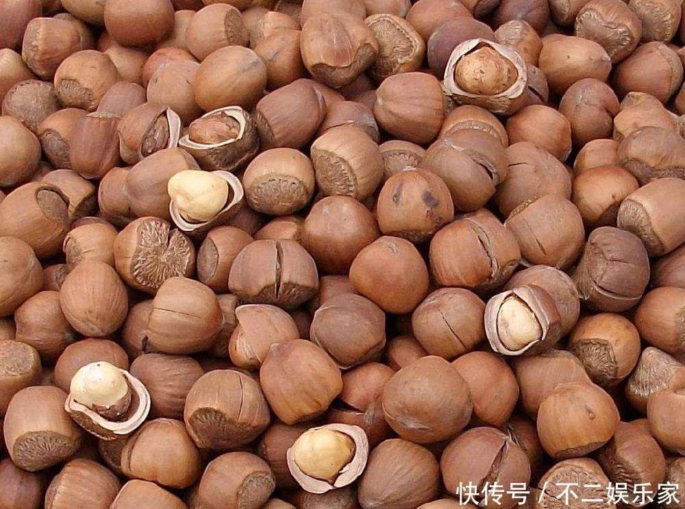 3种常见的“坚果”,家里老人没事抓一把吃,老