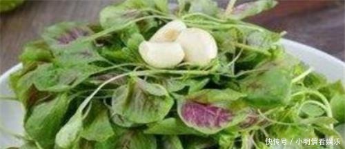 清肠|想要身体好,推荐4种食物,润肤养颜、排毒清肠,爱吃就赚到