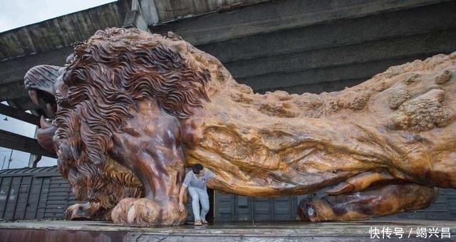 楠木|男子用30吨金丝楠木雕刻雄狮,富豪出价300万,男子:先给1000万